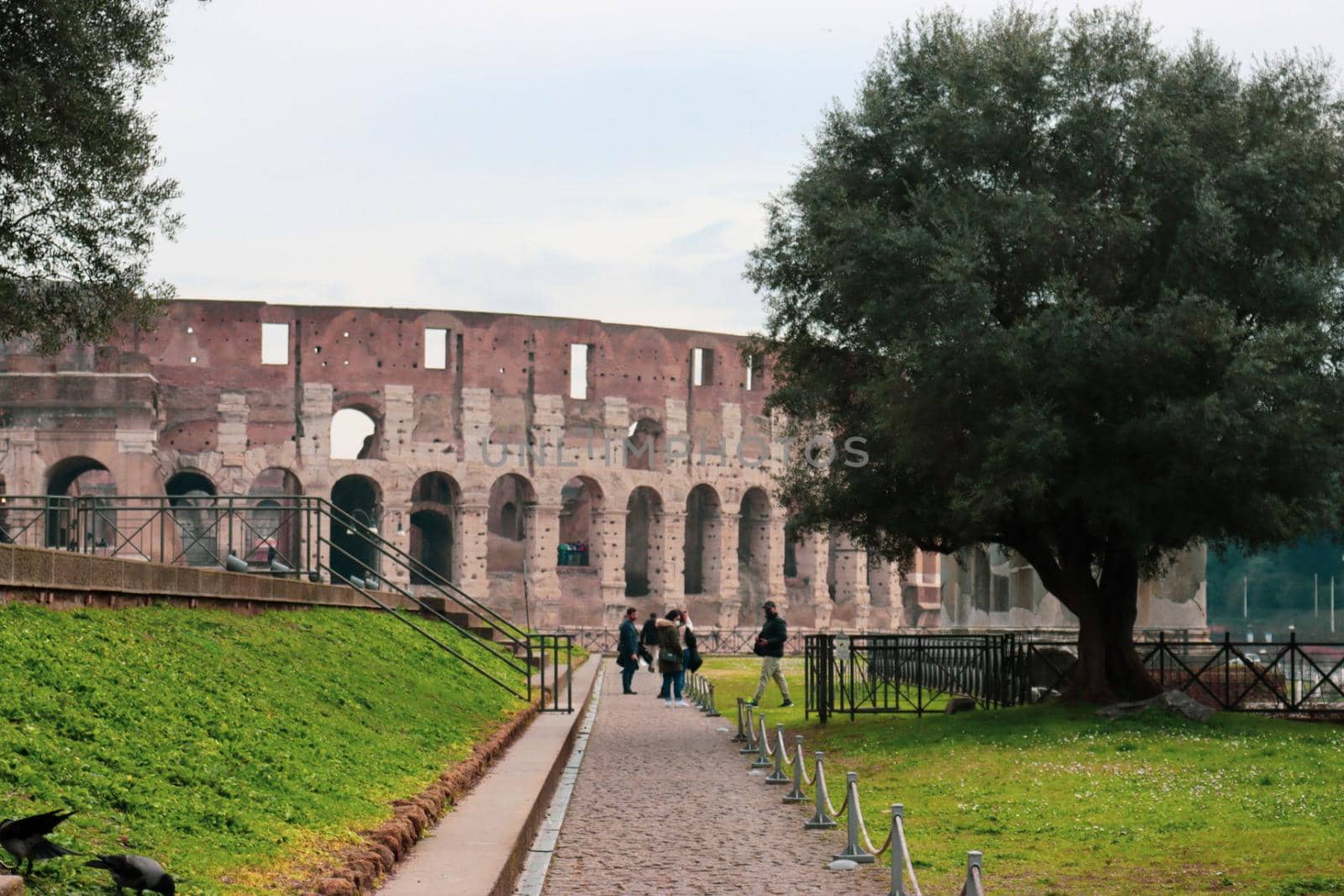 ROME, ITALY - February 05, 2022: Panoramic view around the Colosseum in city of Rome, Italy. Cold and gray sky in the background. Macro photography of the green parks with the old buildings.