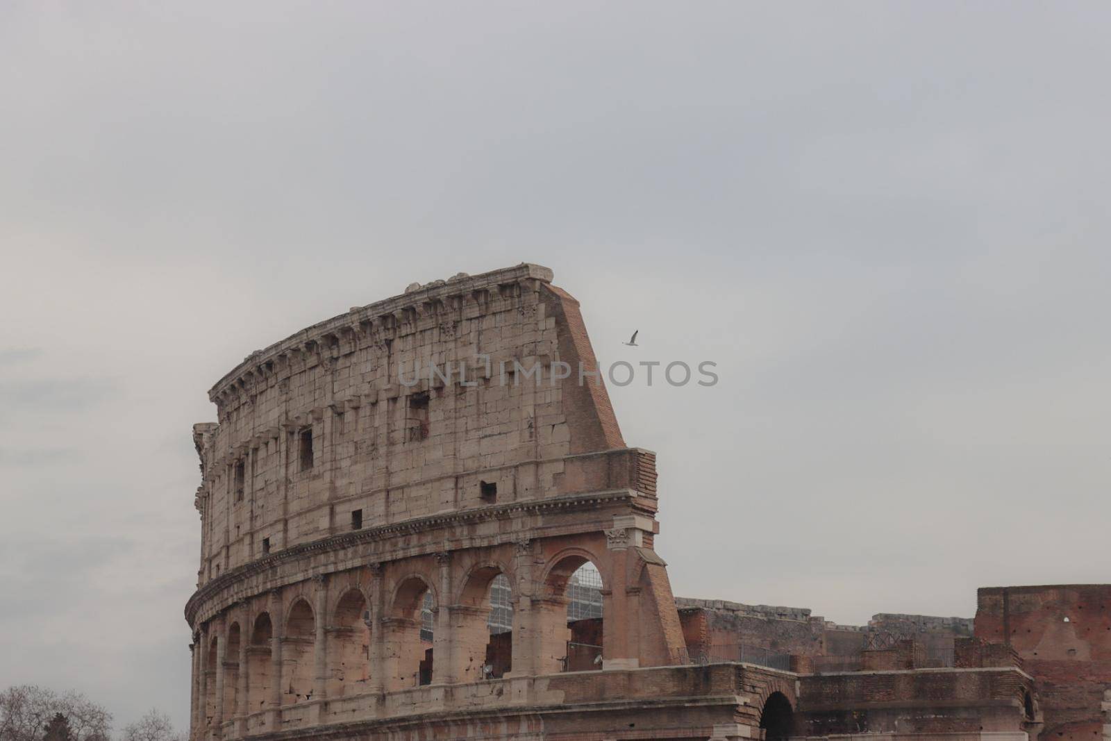 ROME, ITALY - February 05, 2022: Panoramic view around the Colosseum in city of Rome, Italy. Cold and gray sky in the background. Macro photography of the green parks with the old buildings.