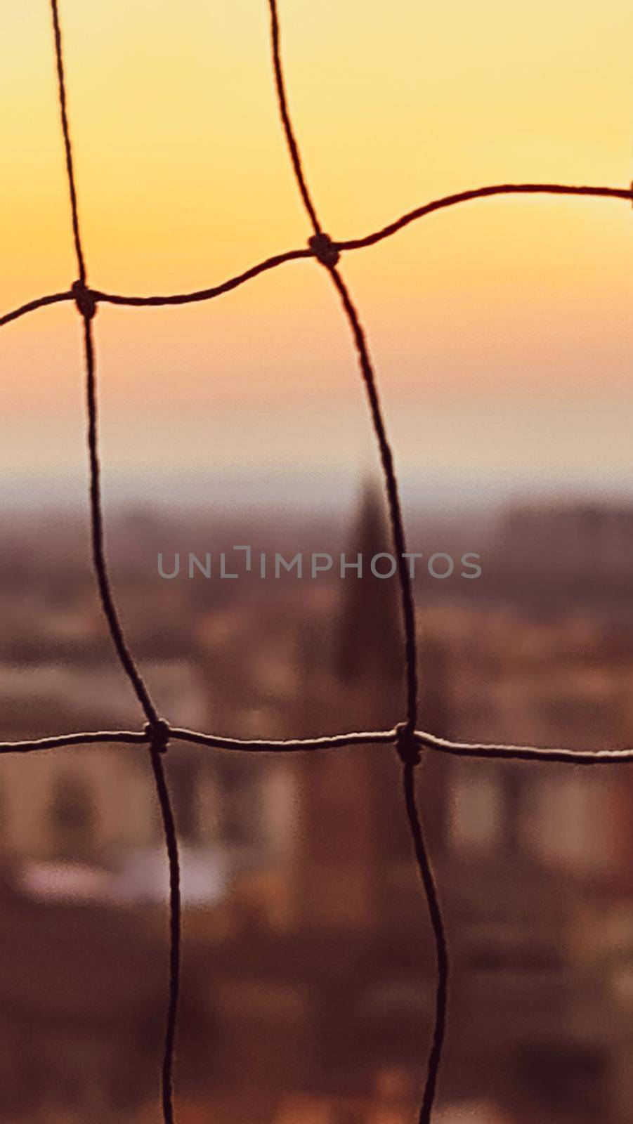 ROME, ITALY - February 05, 2022: Panoramic view around the Colosseum in city of Rome, Italy. Cold and gray sky in the background. Macro photography of the green parks with the old buildings.