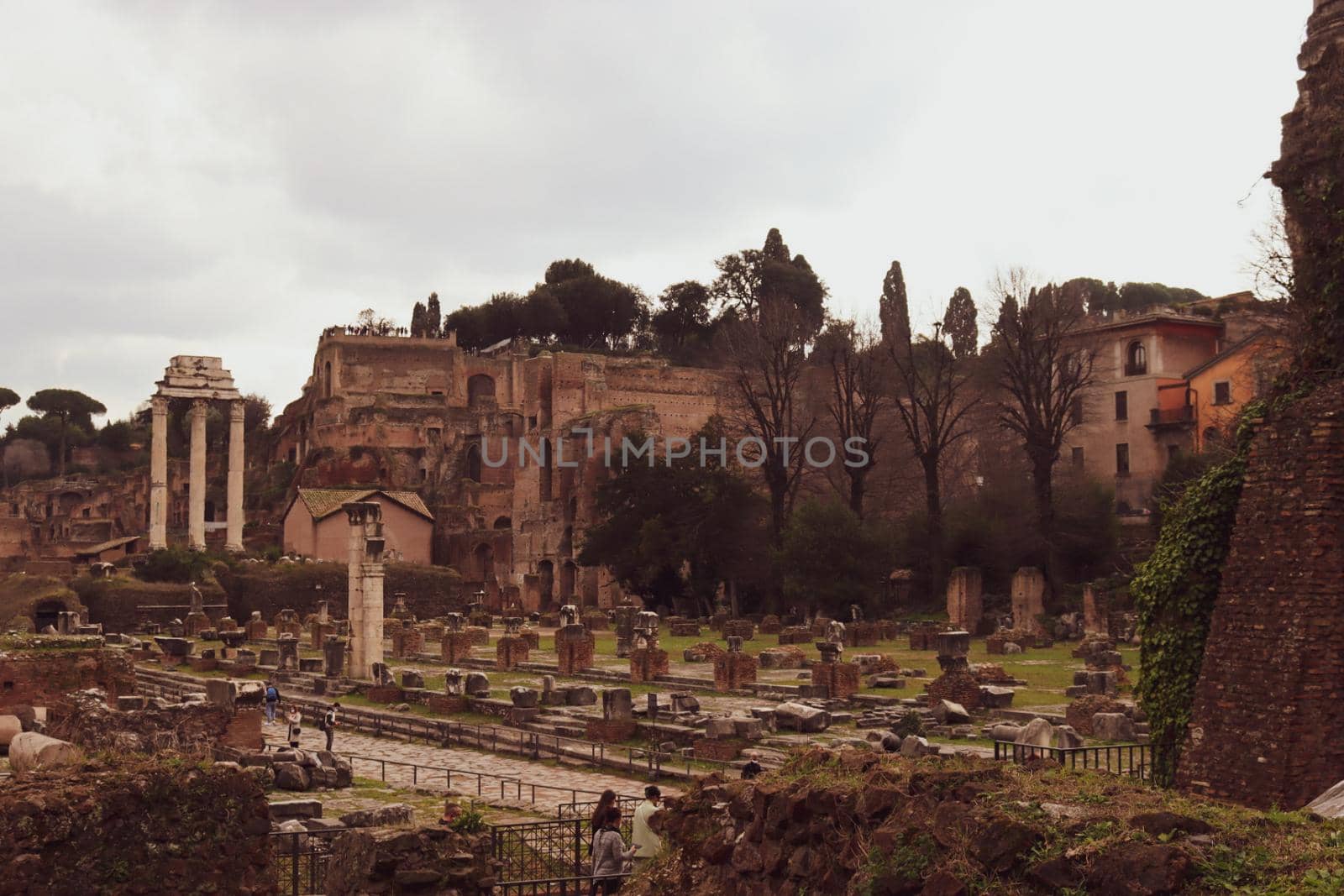 Discovering the city of Rome by yohananegusse