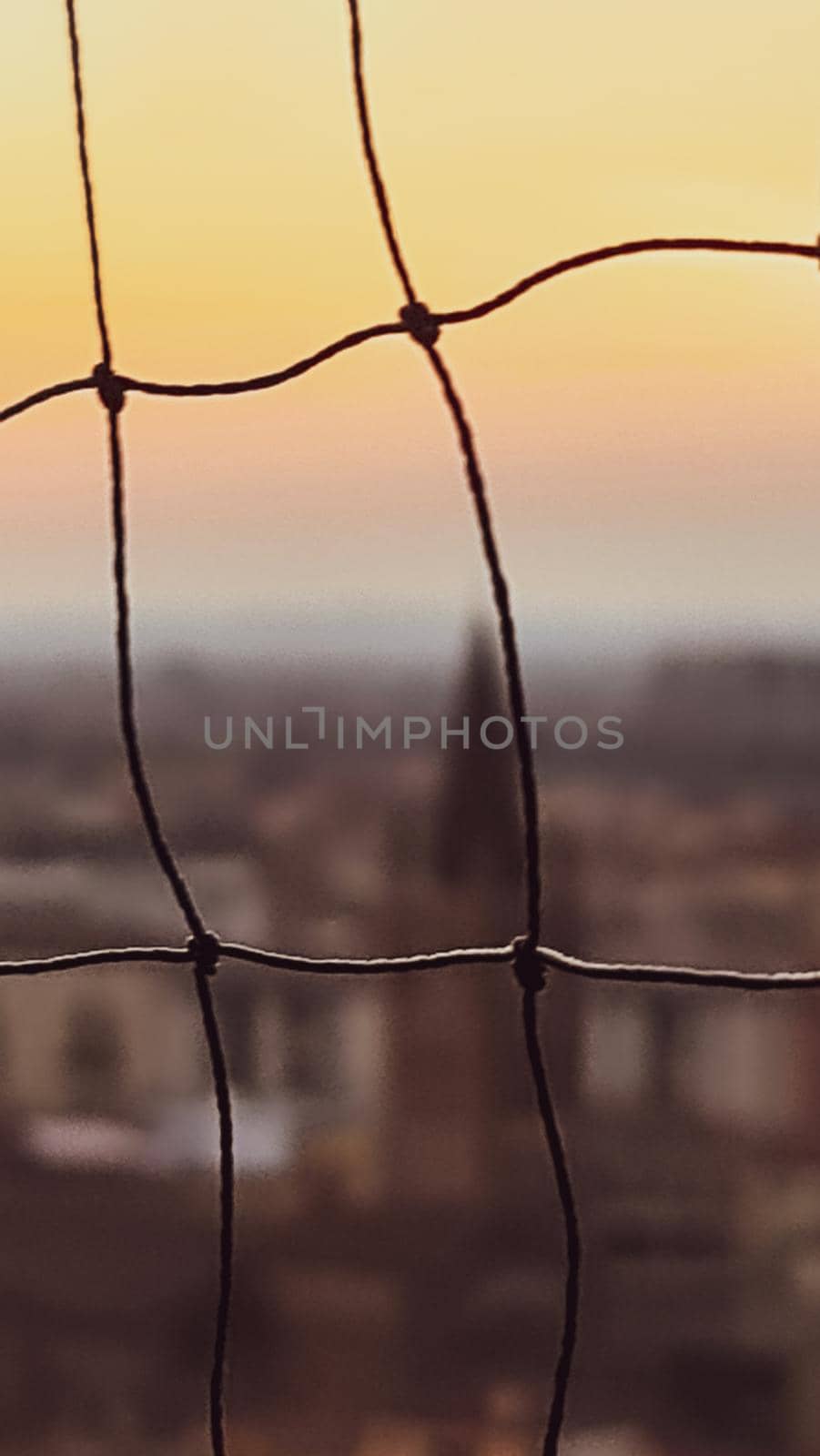 ROME, ITALY - February 05, 2022: Panoramic view around the Colosseum in city of Rome, Italy. Cold and gray sky in the background. Macro photography of the green parks with the old buildings.