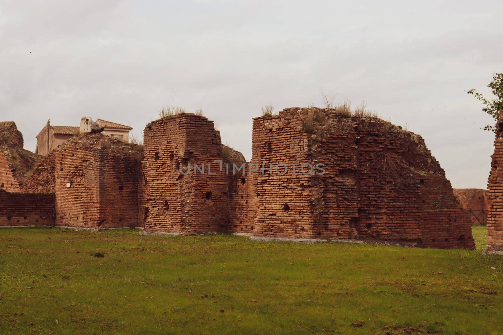 ROME, ITALY - February 05, 2022: Panoramic view around the Colosseum in city of Rome, Italy. Cold and gray sky in the background. Macro photography of the green parks with the old buildings.