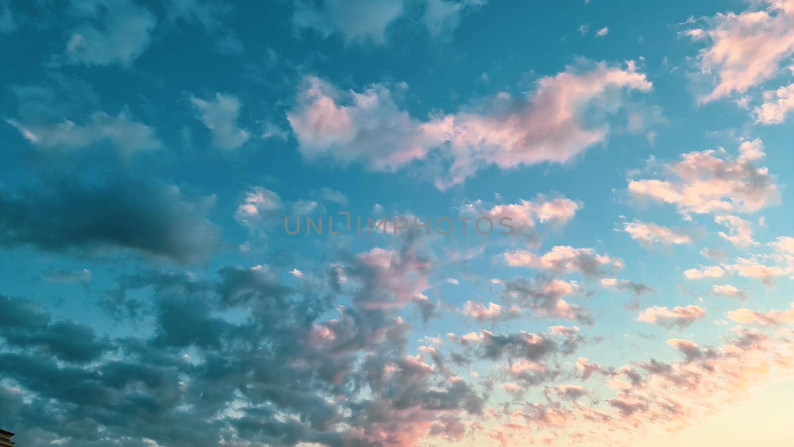 Beautiful floral spring abstract background of nature. Branches of blossoming apricot macro with soft focus on gentle light blue sky background.