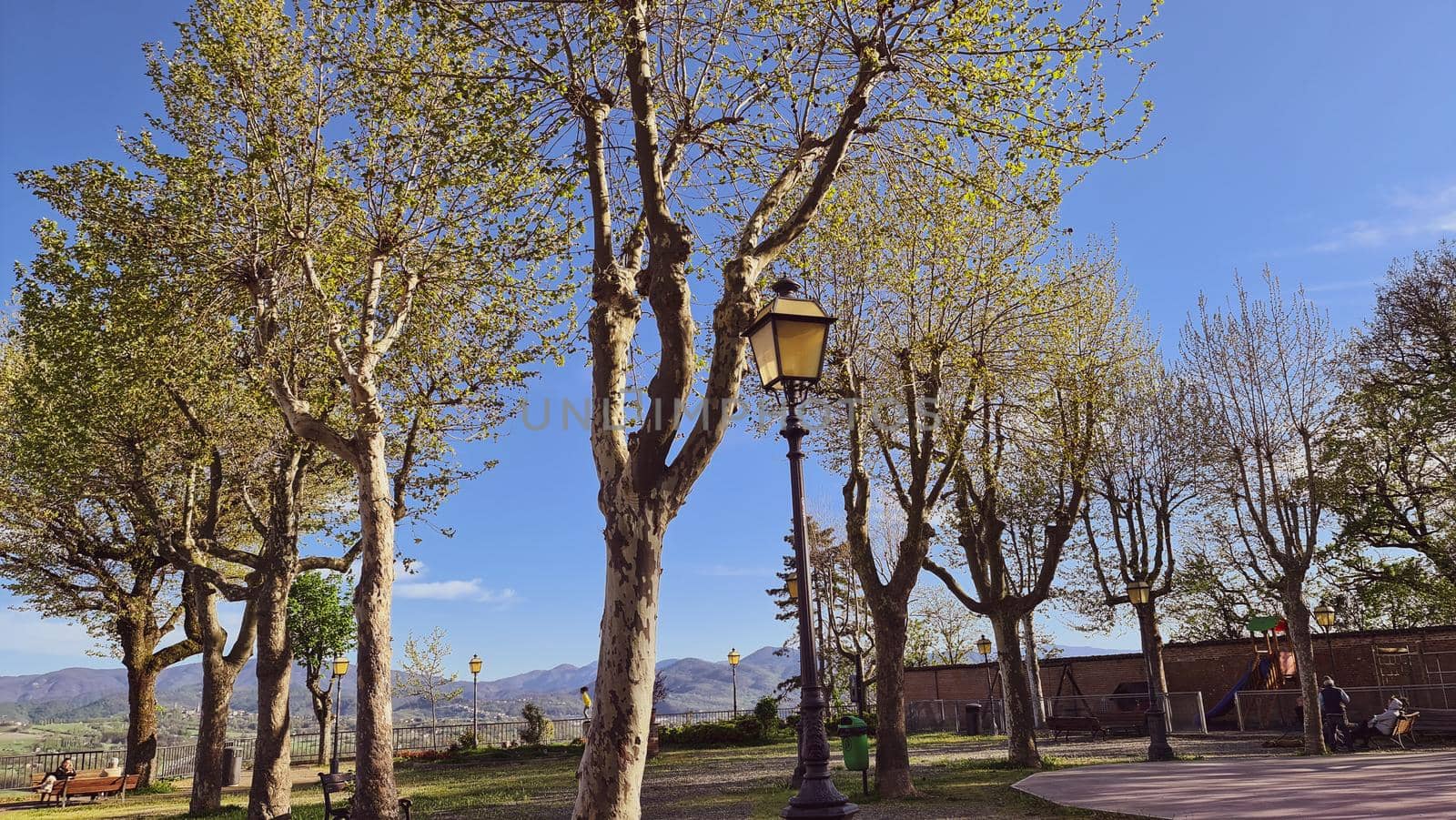 Genova, Italy - January 28, 2022: Park of Nervi by winter days. Green park for relax. Natural park near the sea, with some tall trees. Clear blue sky in the background.