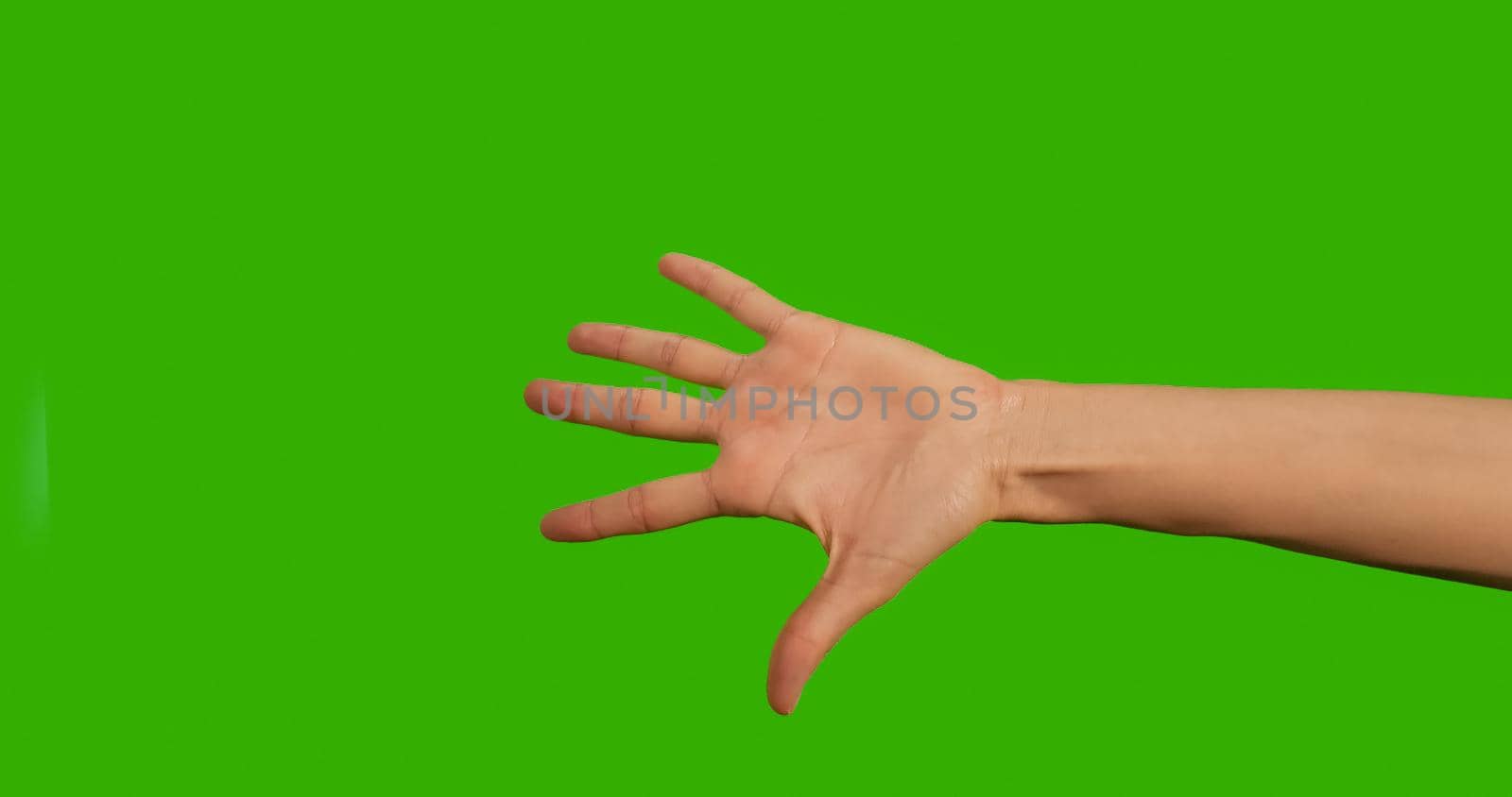 Gestures female Hand, five fingers on a Green Background, Green Screen, Chroma Key Close-up. Make symbols with hand on Greenscreen.