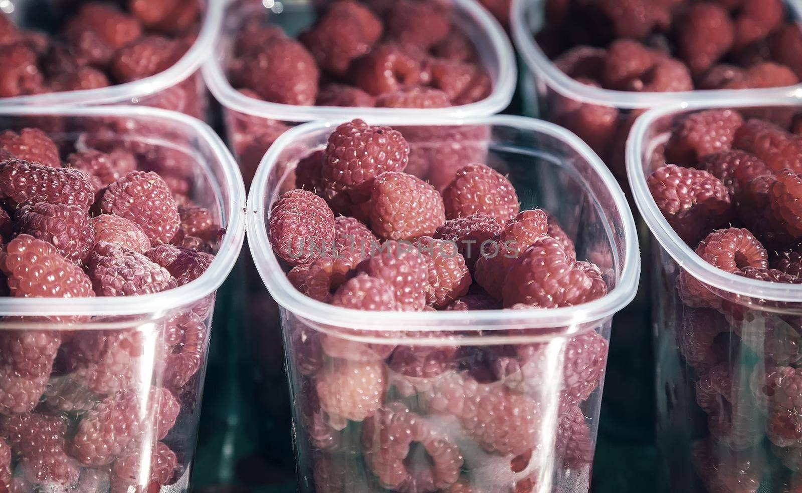 Delicious ripe raspberries in containers for sale. by georgina198