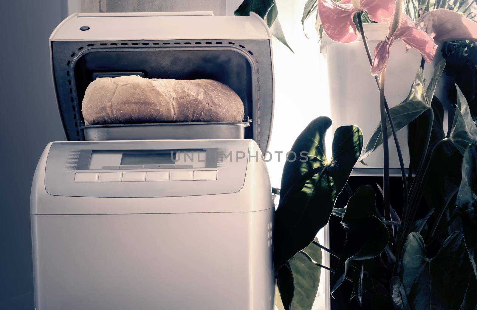 Household appliances: electric oven for baking bread at home. The white bread baked in it.