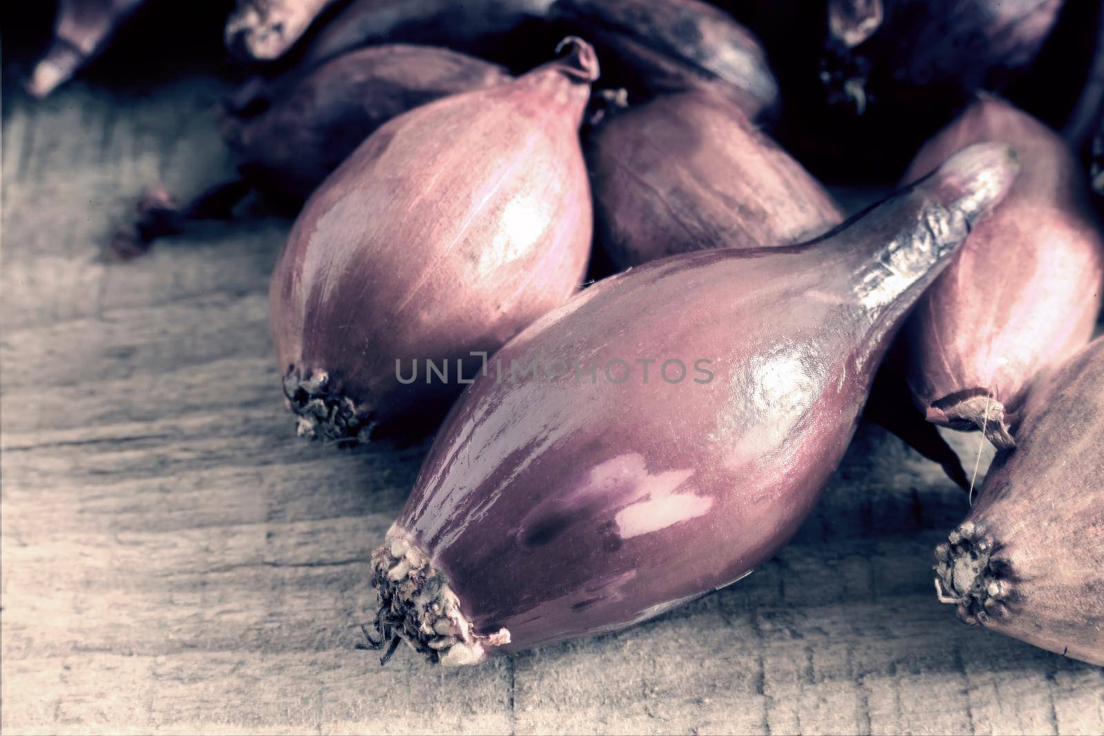 Seed: small purple onion bulbs for planting in soil
