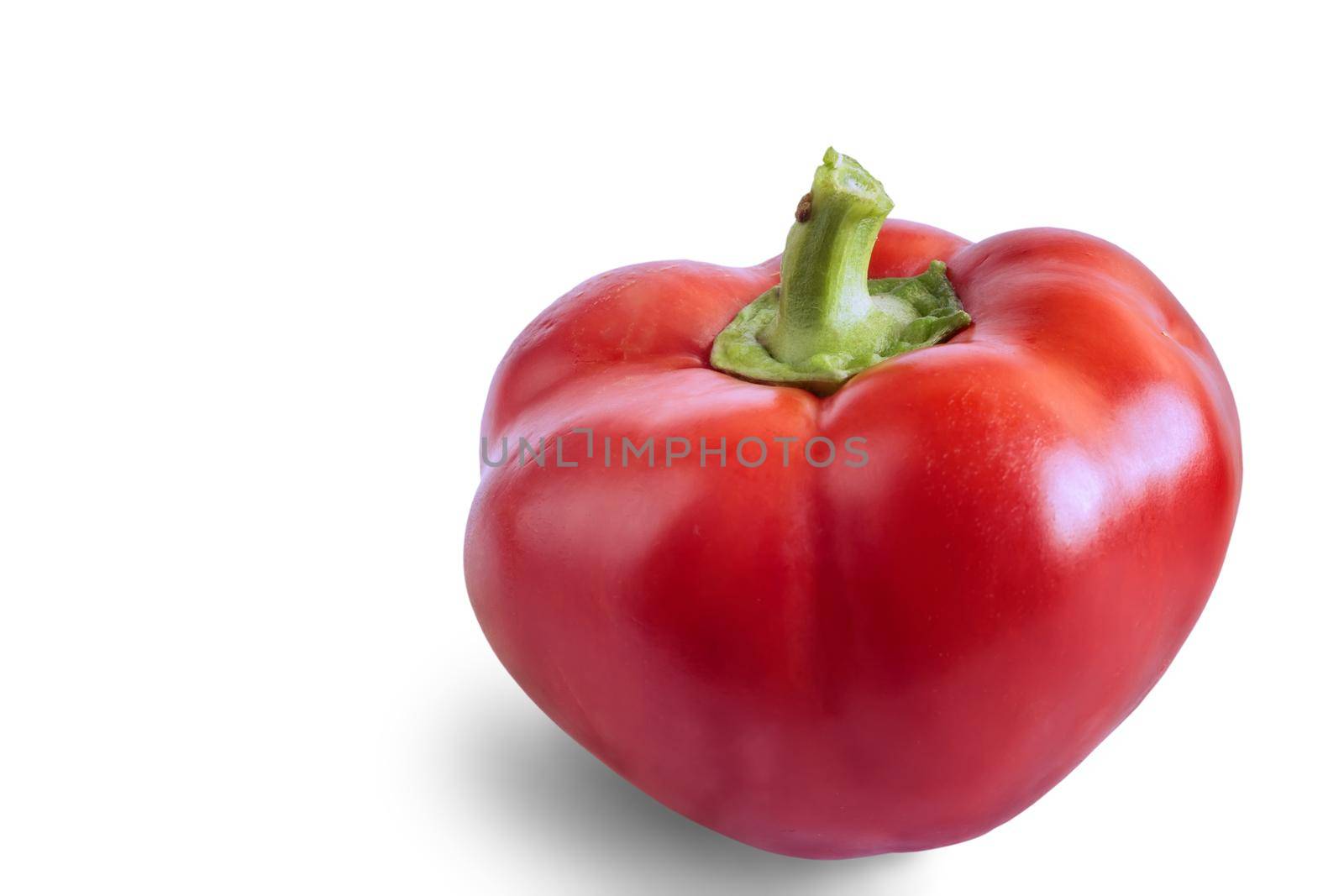 Large red bell pepper oblong shape. Presented in close-up, isolated on a white background