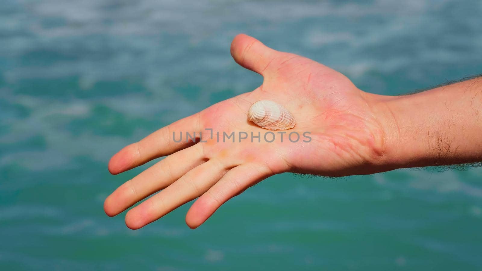 Man holding in his hand a sea shell. Sea waves on background. Holiday concept at the beach, activities on seashore.