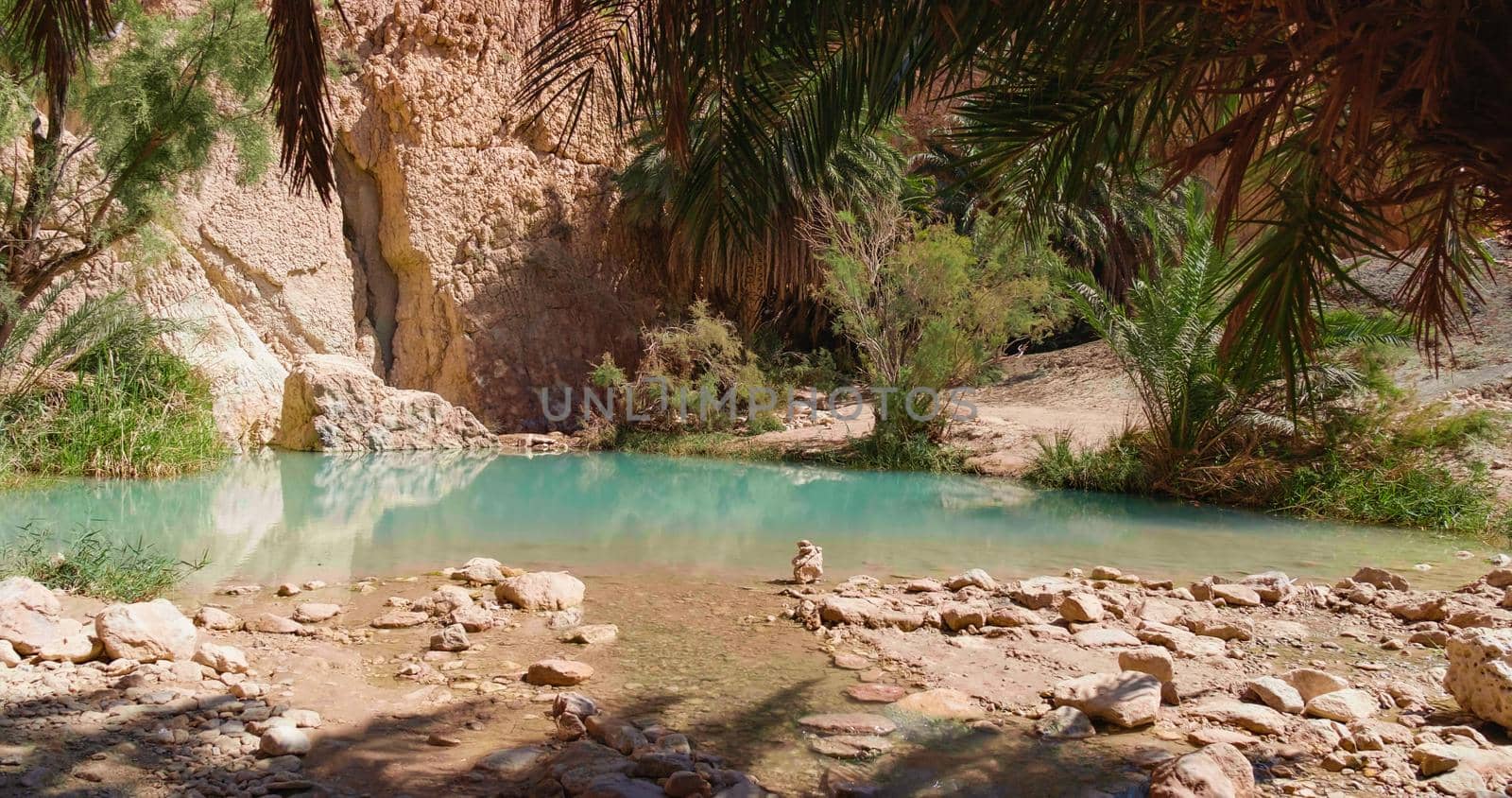 Chebika mountain oasis. Tozeur Governorate.