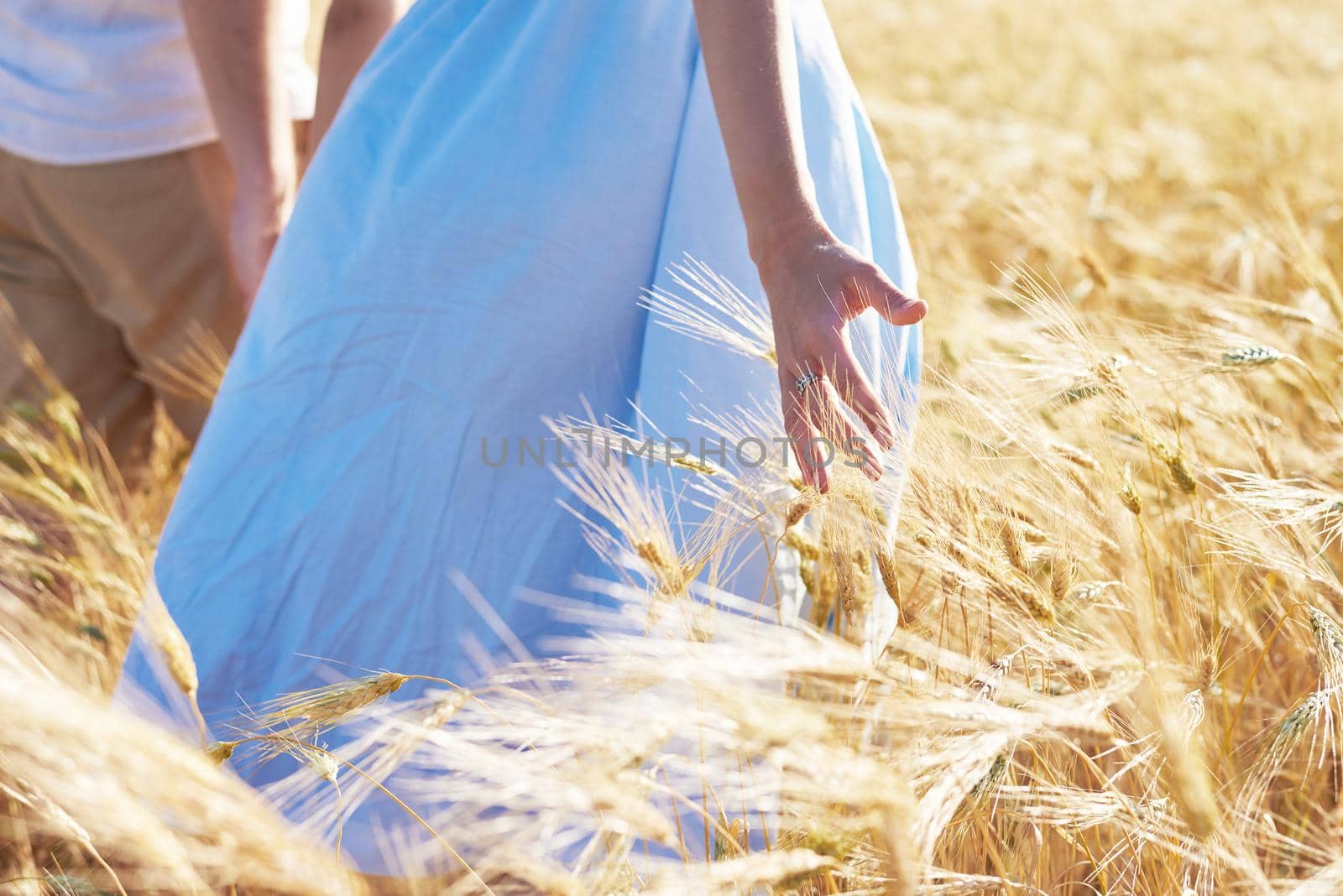 A couple in love walks through a wheat field. Close-up of the girl's hand touching wheat.