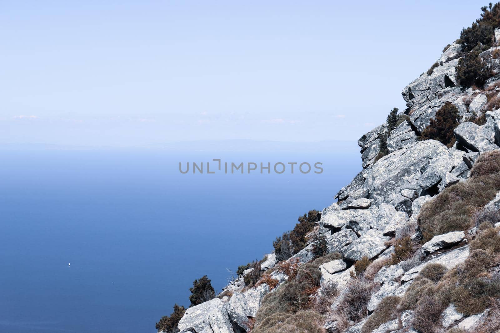 Genova, Italy - January 28, 2022: Park of Nervi by winter days. Green park for relax. Natural park near the sea, with some tall trees. Clear blue sky in the background.