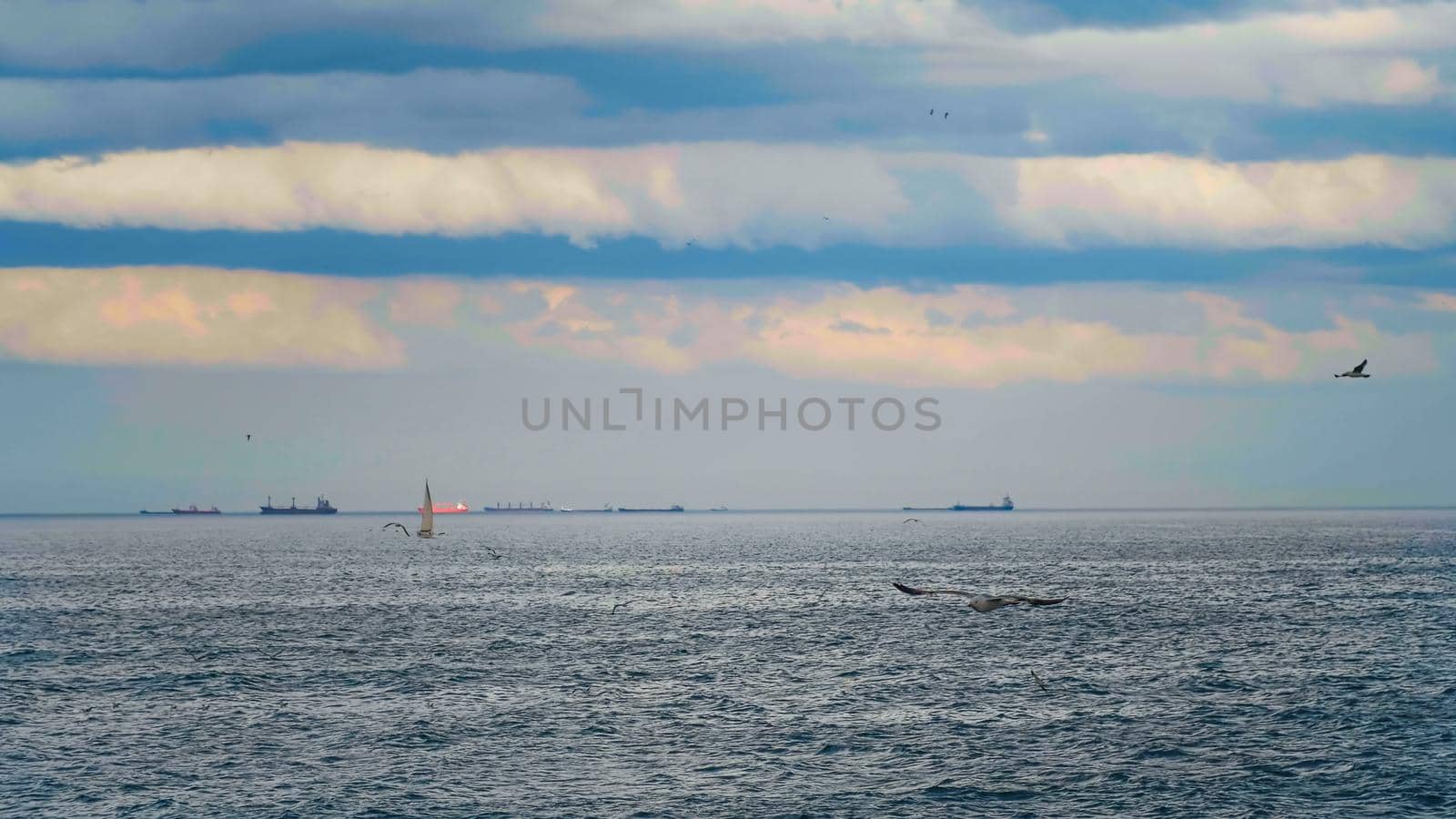 Landscape with flock of seabirds flying and view of big ships by RecCameraStock