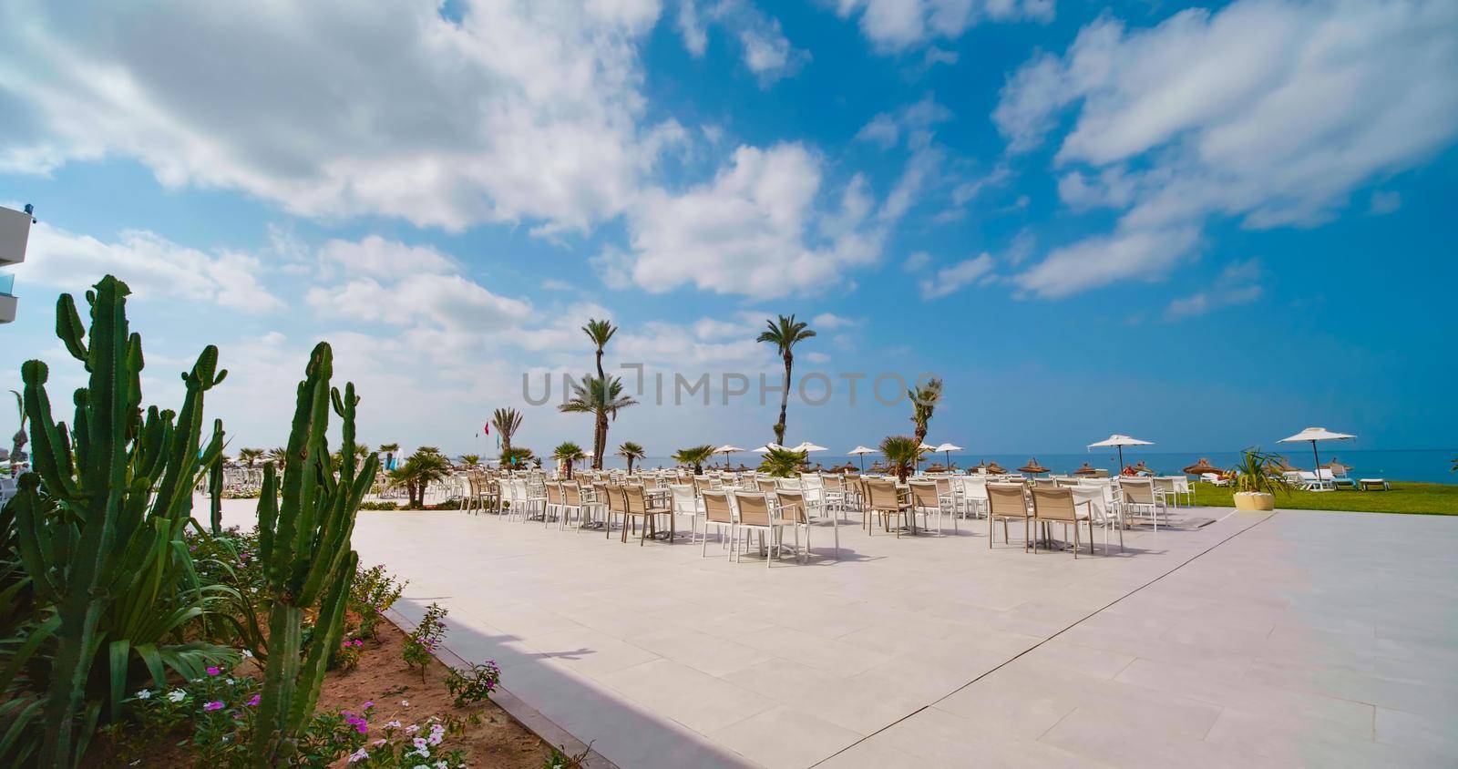Tunisia, 2022: View of luxury terrace on a tropical beach in Tunisia, Africa. Beautiful garden on a luxury hotel, palm trees on seaside. Resort overlooking the Mediterranean Sea.