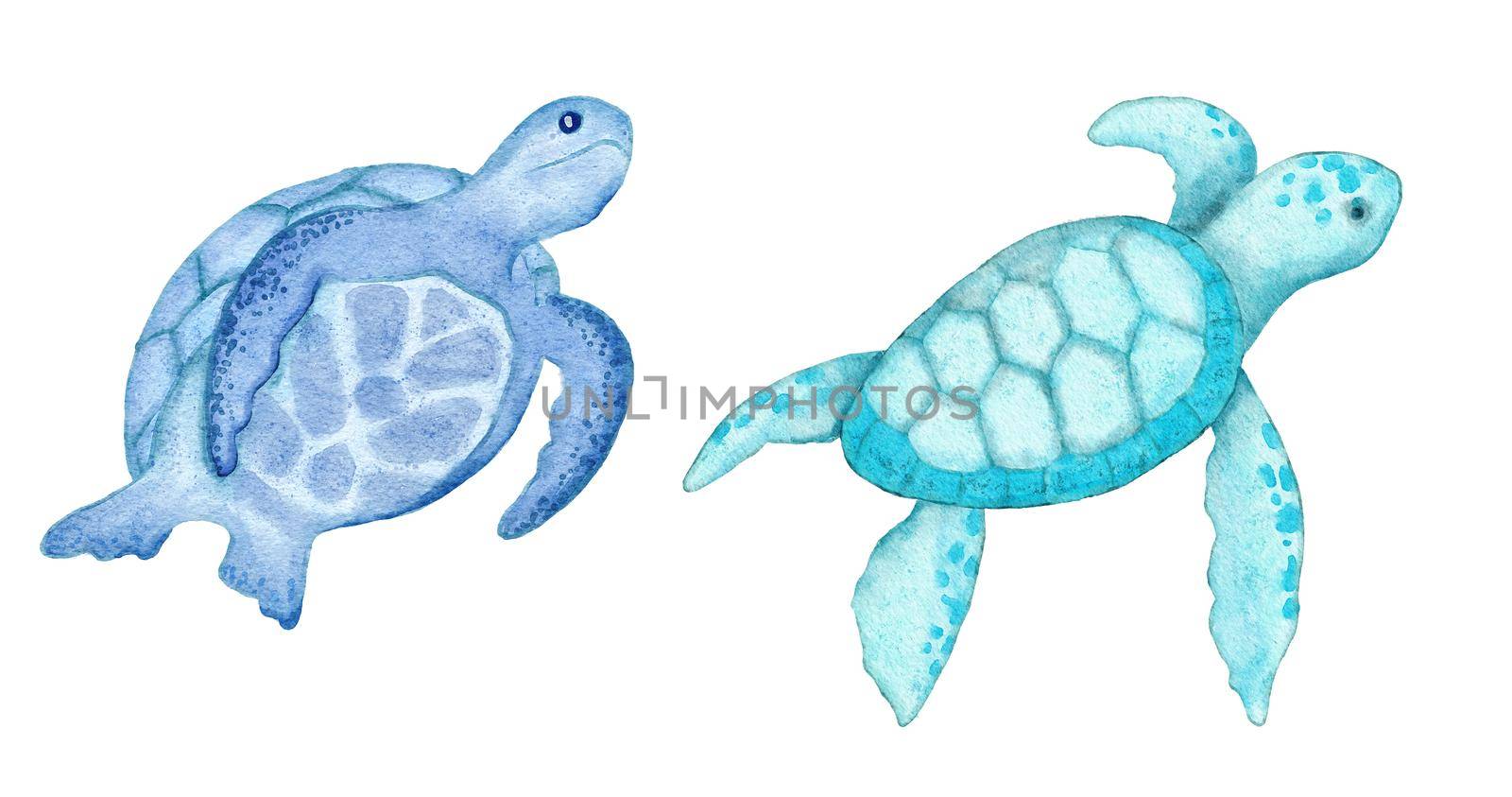 Watercolor illustration of turtle tortoise in blue turquoise purple colors, ocean sea underwater wildlife animals. Nautical summer beach design, coral reef life nature. by Lagmar