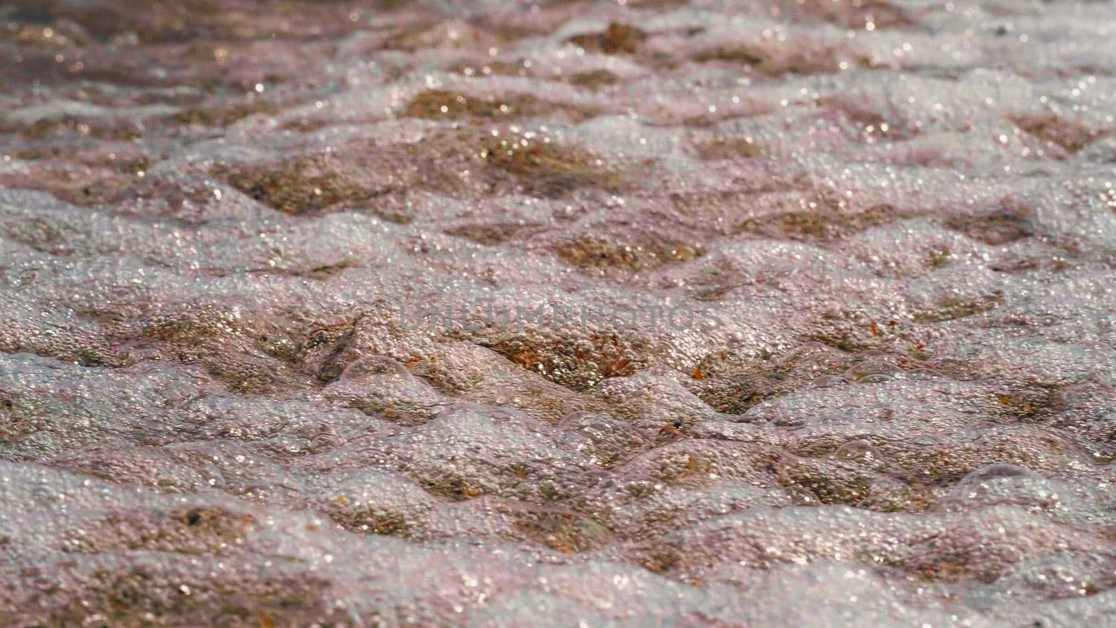 Close up sea waves in sunny day