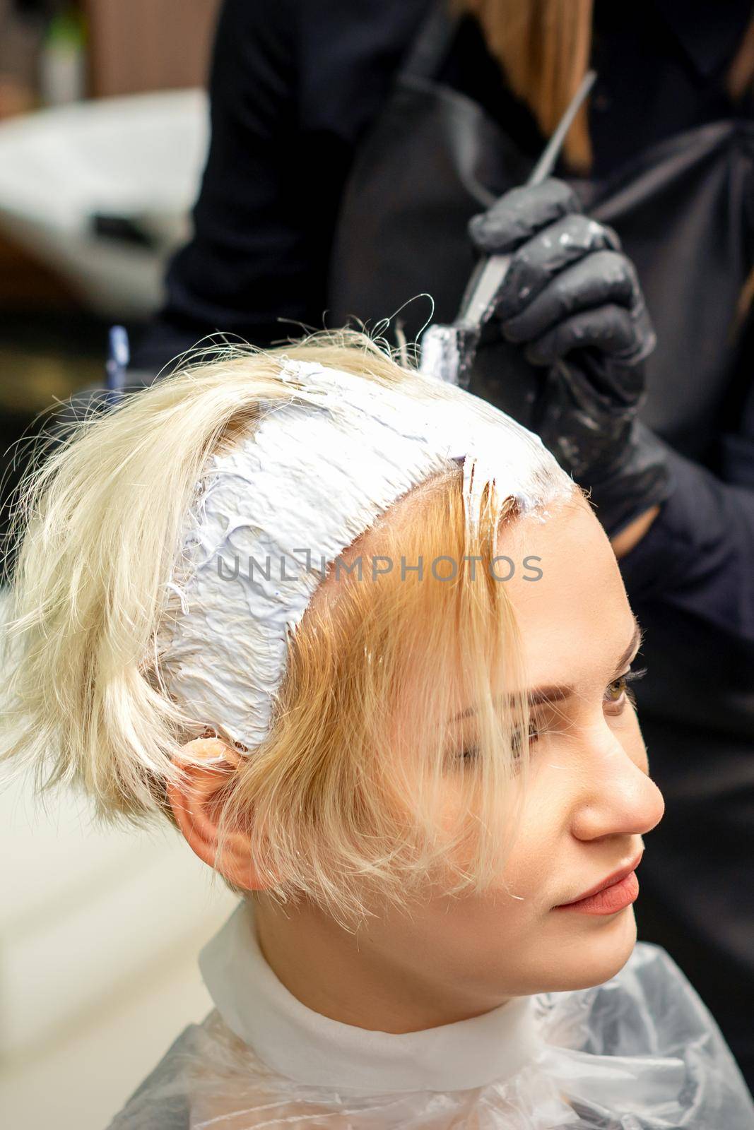 Female hair stylist applies white dye to hair of young female client in hair salon