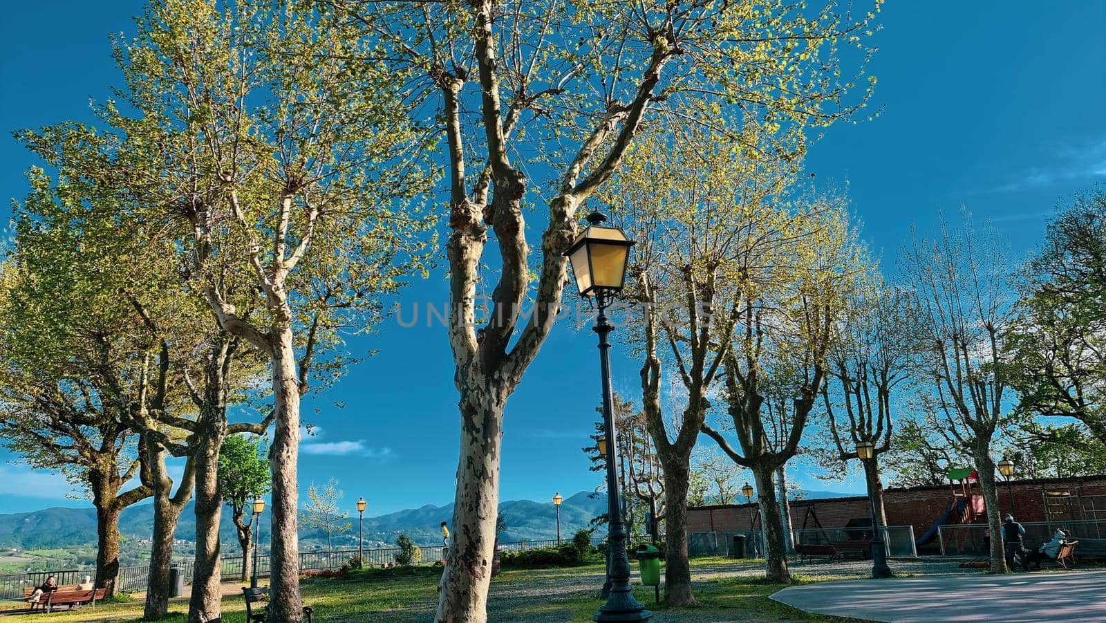 Genova, Italy - January 28, 2022: Park of Nervi by winter days. Green park for relax. Natural park near the sea, with some tall trees. Clear blue sky in the background.