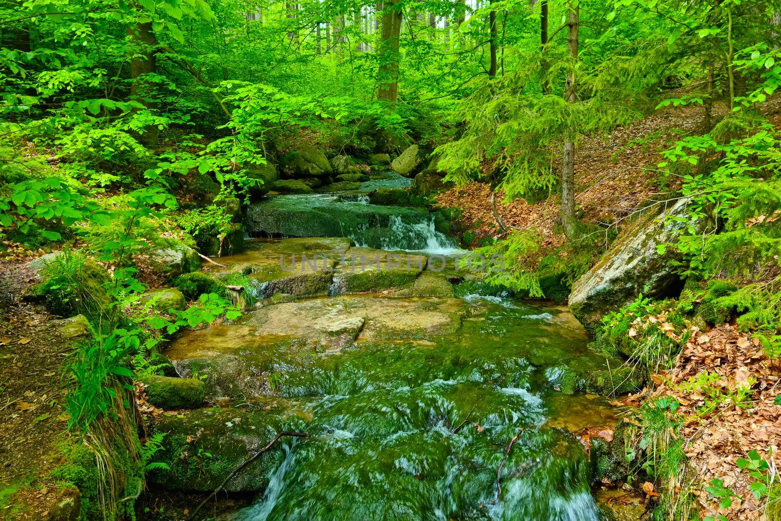 A small stream flows through rocks in the forest in the mountains. by kip02kas