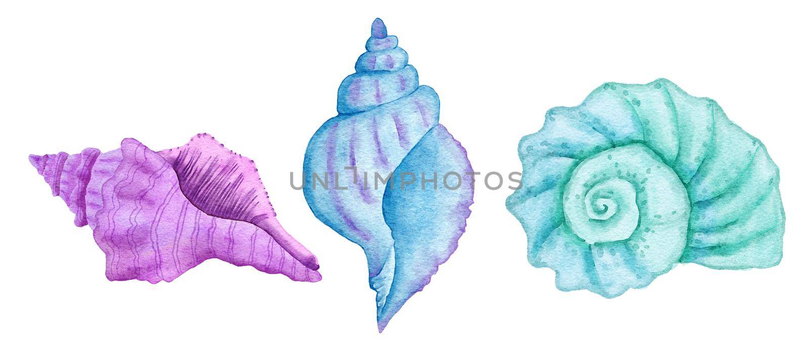 Watercolor illustration of shells, clam shell in blue turquoise purple colors, ocean sea underwater wildlife animals. Nautical summer beach design, coral reef life nature. by Lagmar