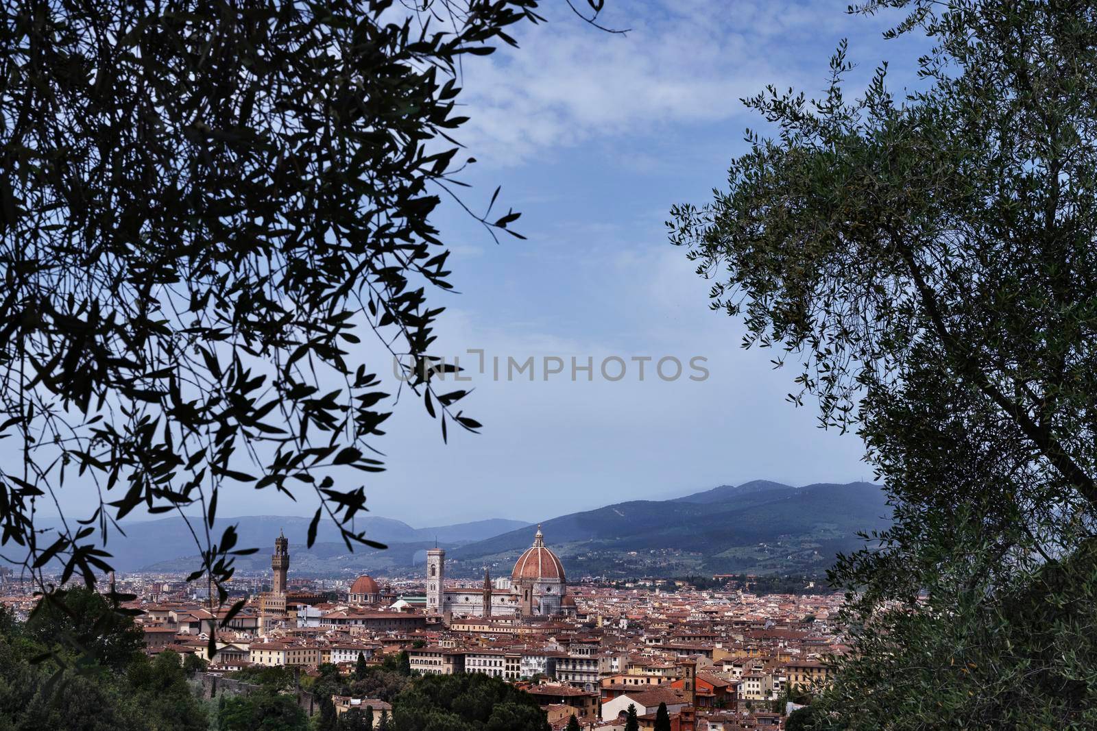 Panoramic view of Firenze by victimewalker