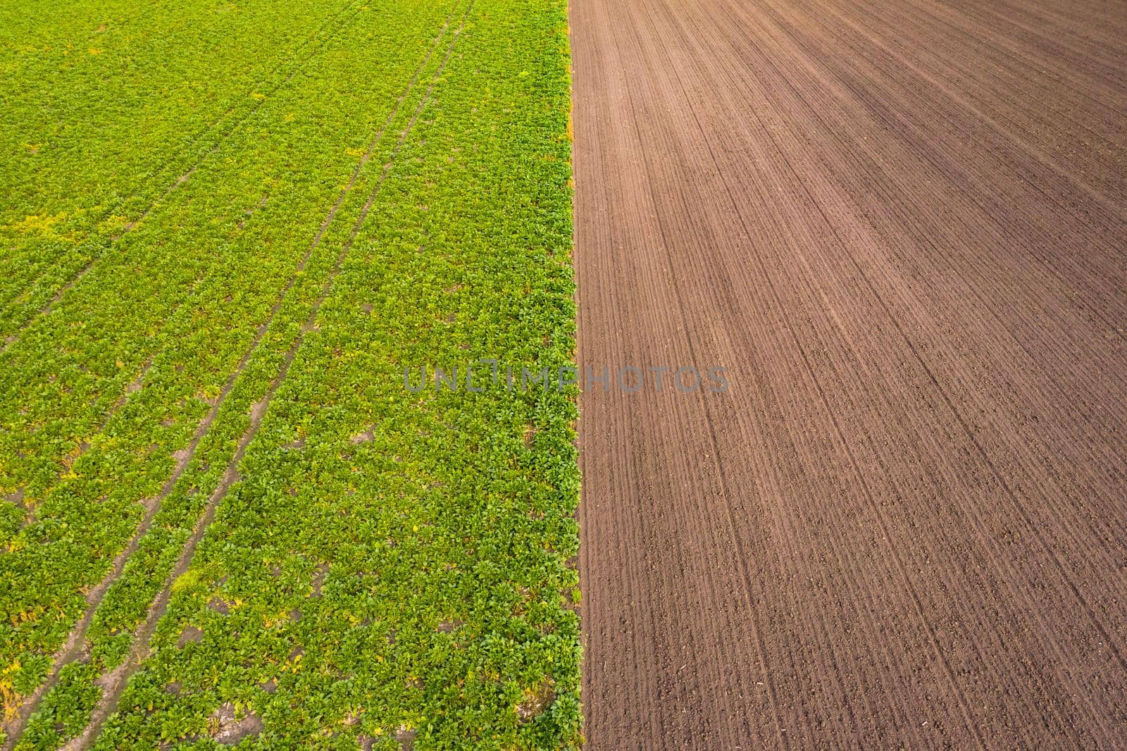 Bird's eye view of tractor tracks in a green field and in a brown field in the south of Germany