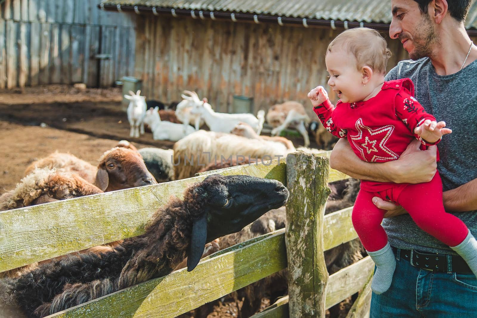 Baby petting a goat on the farm. Selective focus. Nature.