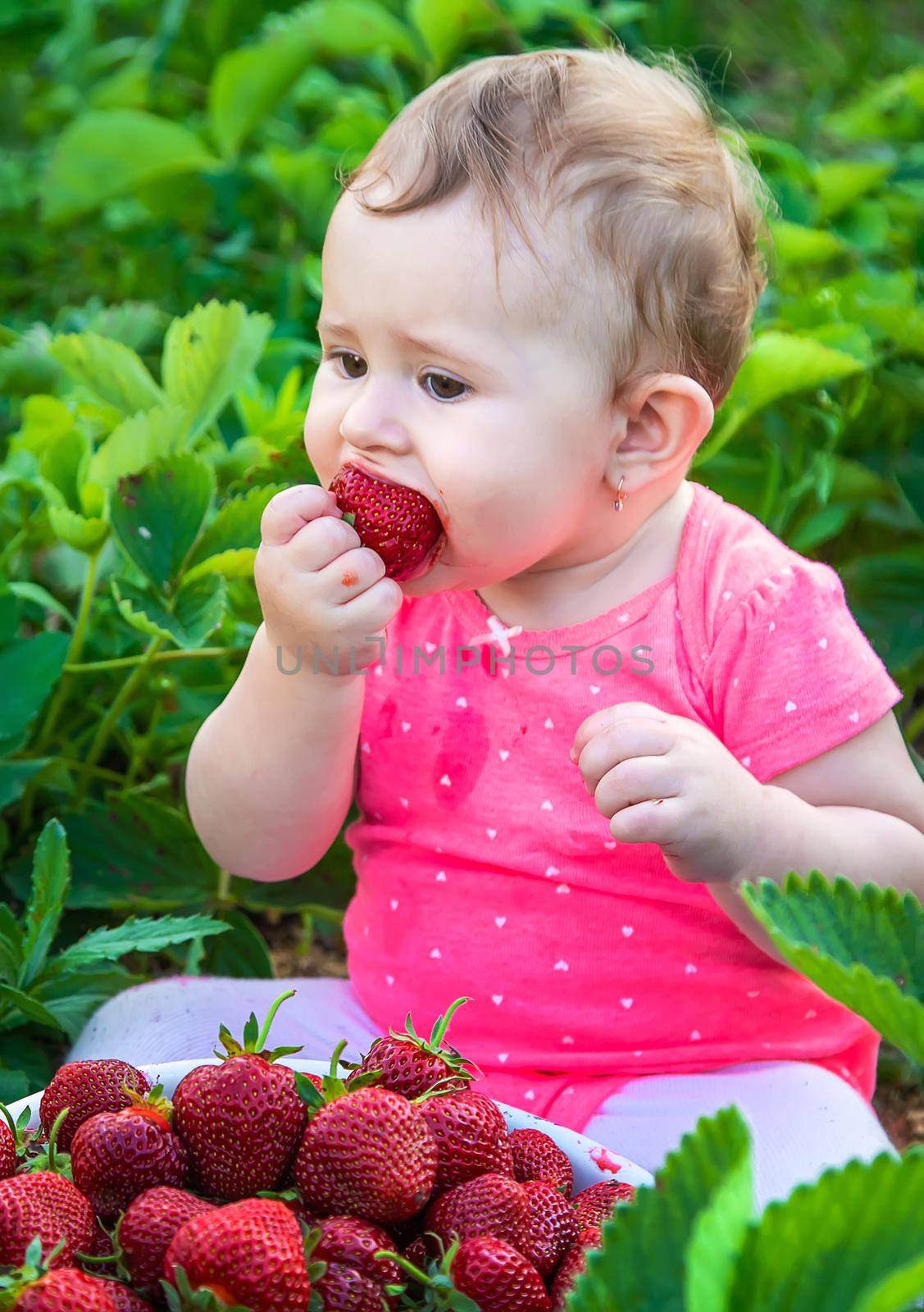 Baby eats strawberries in the garden. Selective focus. Summer.