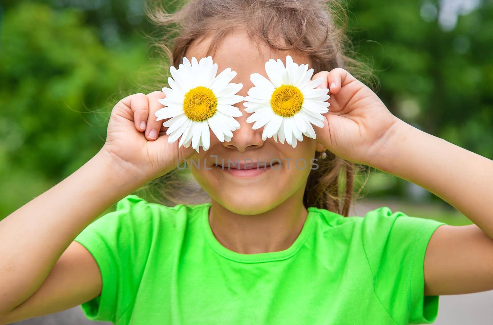 The child holds chamomile eyes on his face. Selective focus. Nature.