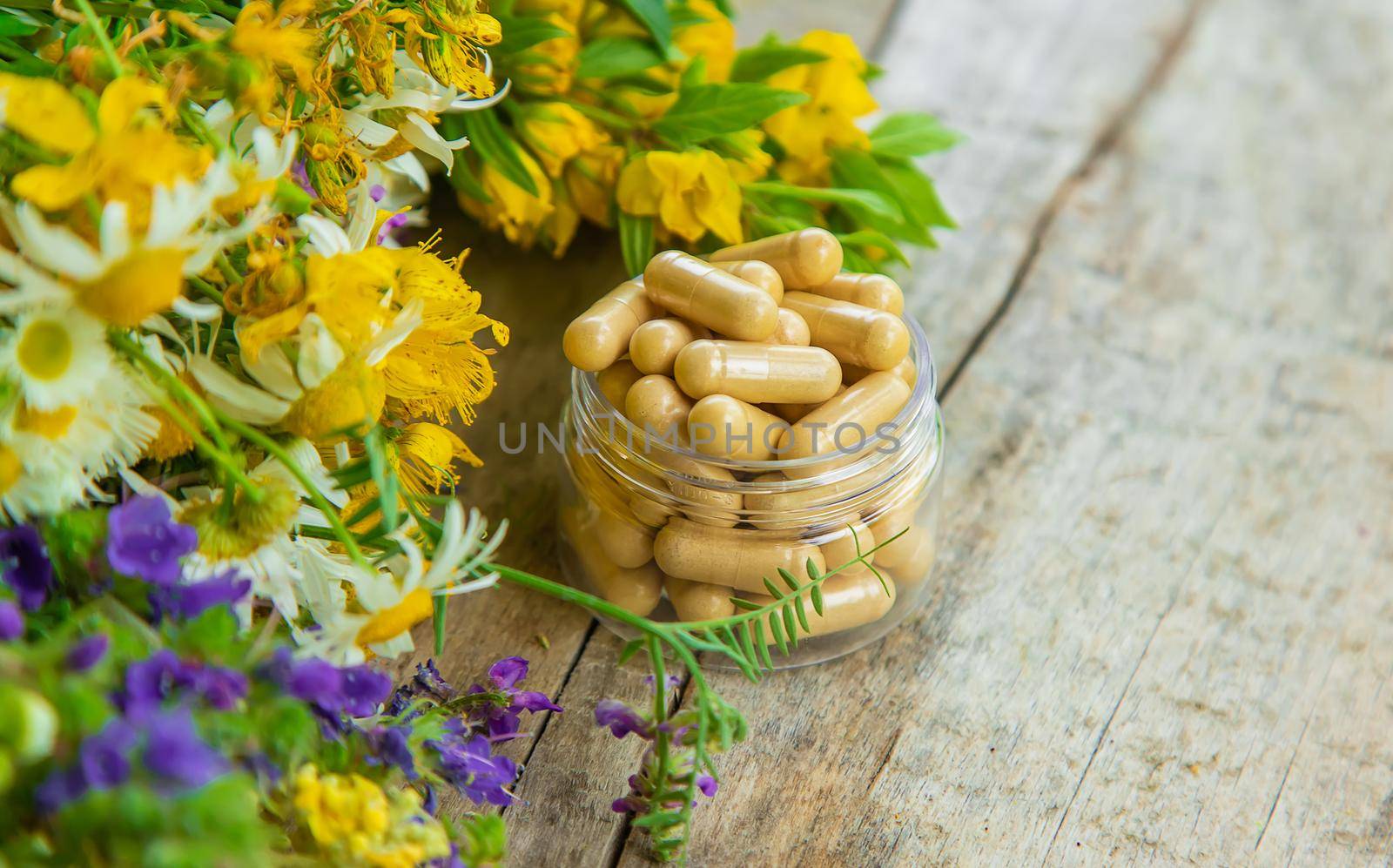 Supplements and vitamins with medicinal herbs. Selective focus. Nature.