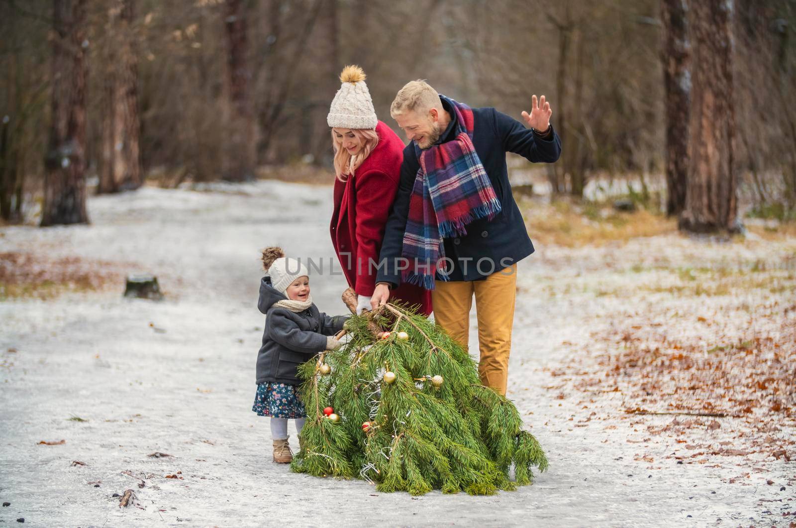 the family drags the tree behind them by zokov