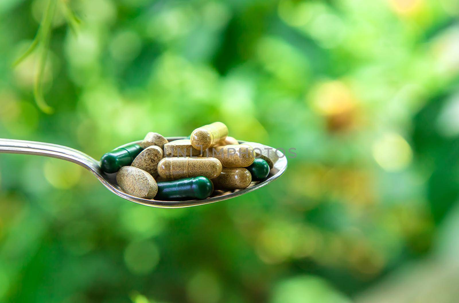 Supplements and vitamins with medicinal herbs. Selective focus. Nature.