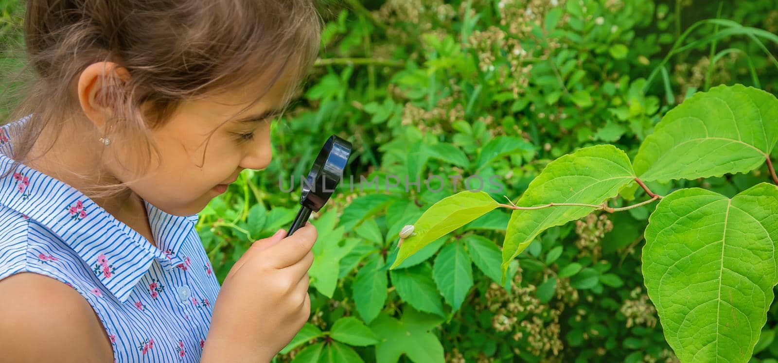 The child looks at the snail through a magnifying glass. Selective focus. by yanadjana