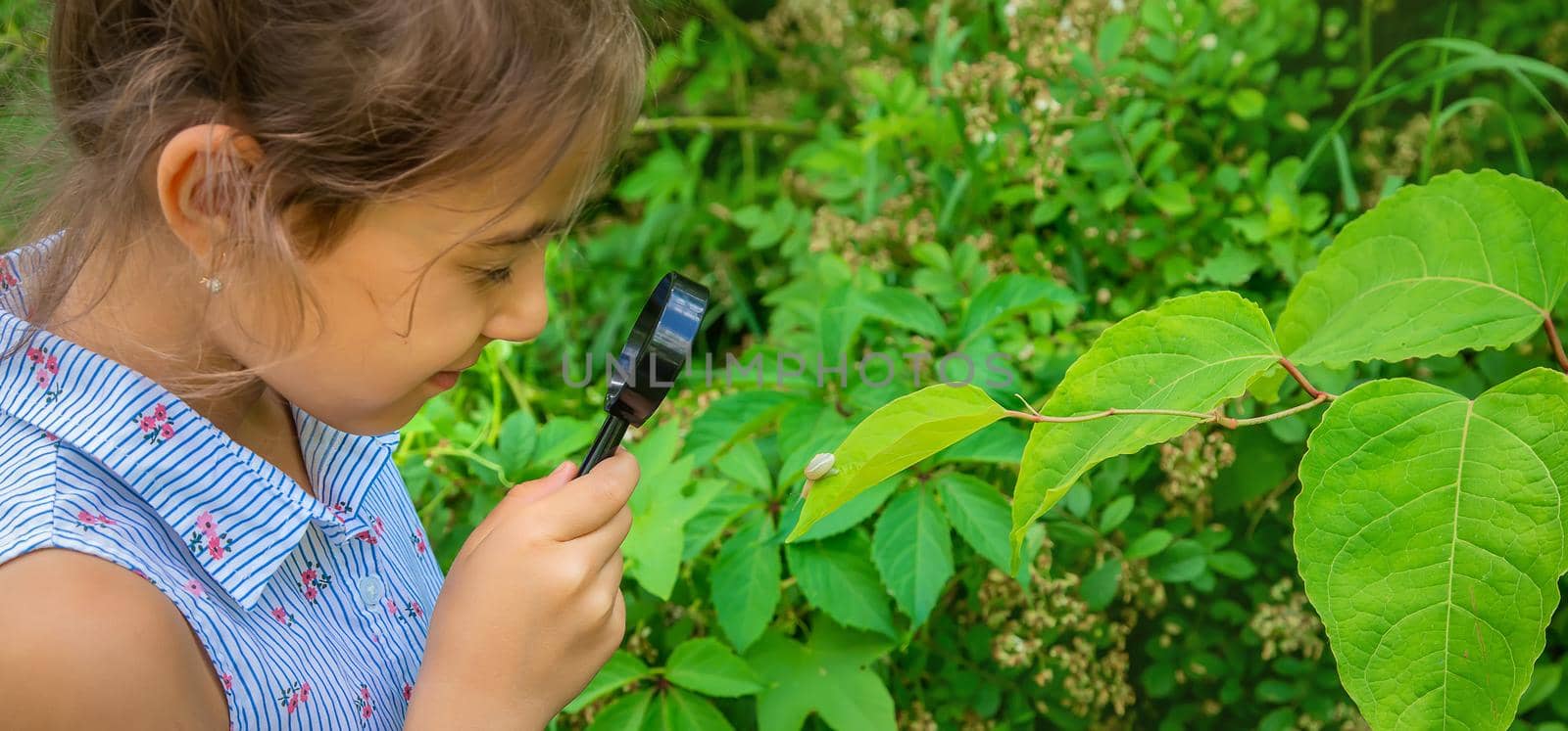 The child looks at the snail through a magnifying glass. Selective focus. Nature.