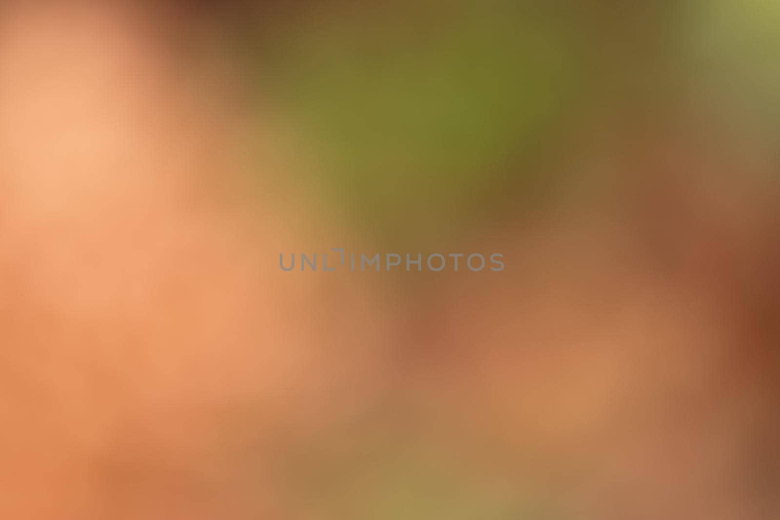 Background from a blurred image of multicolored leaves with a gradient between orange and green tones of nature