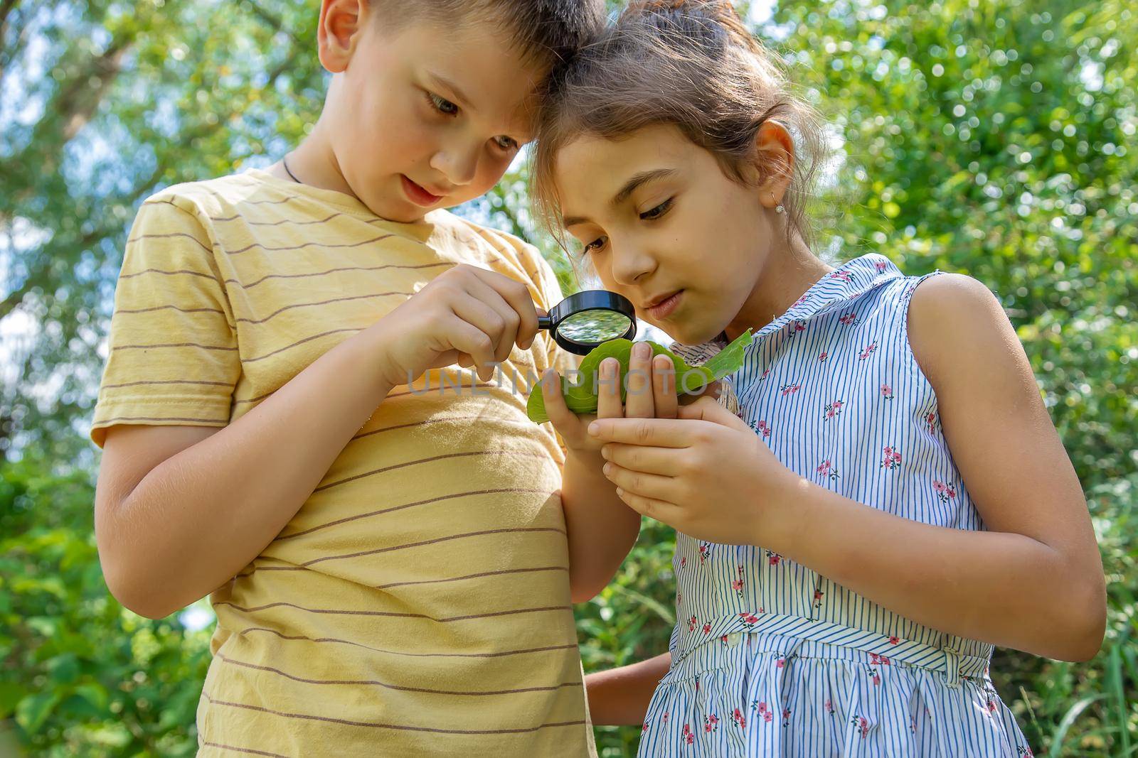 The child looks at the snail through a magnifying glass. Selective focus. by yanadjana