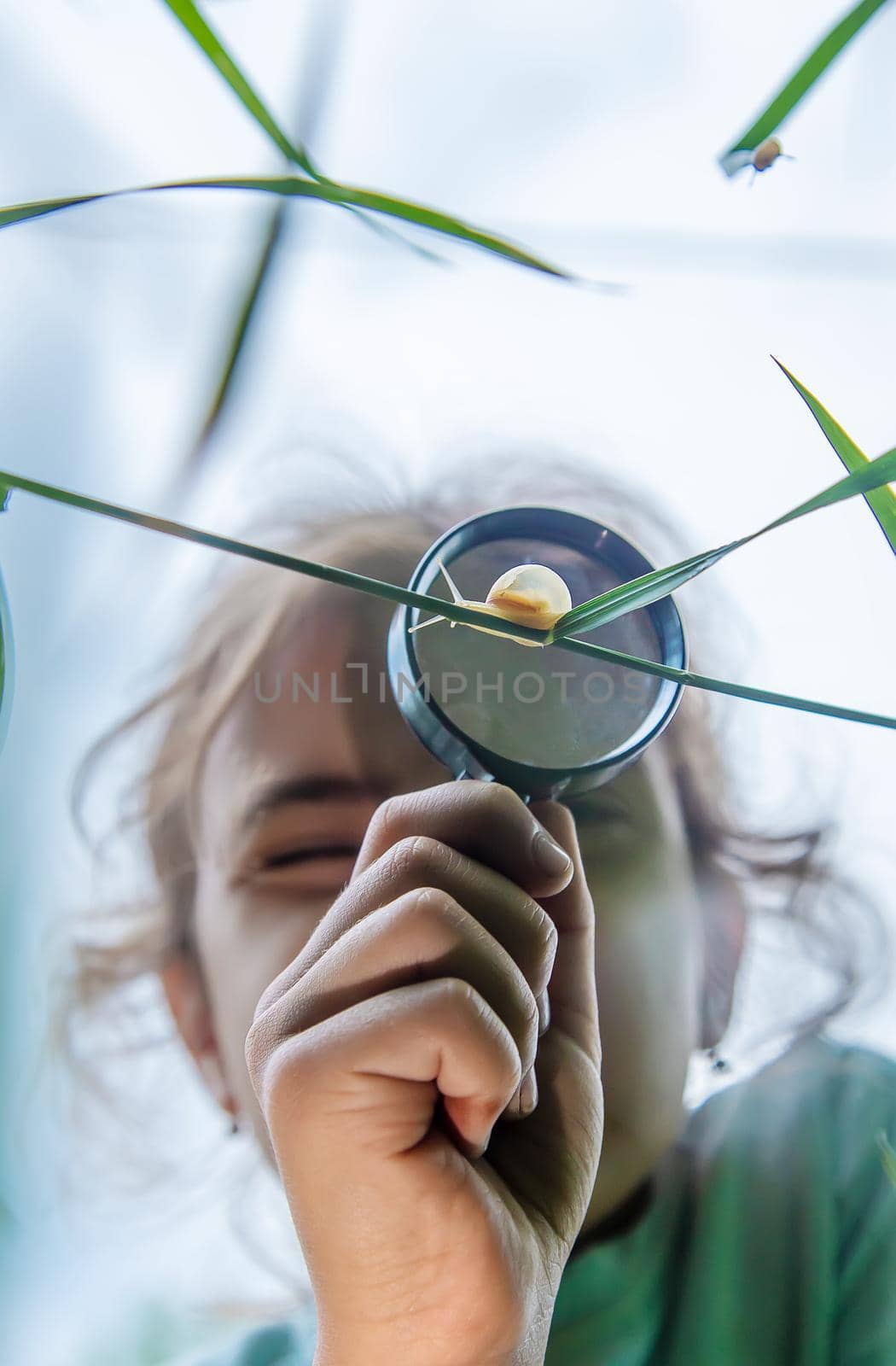 The child looks at the snail through a magnifying glass. Selective focus. Nature.