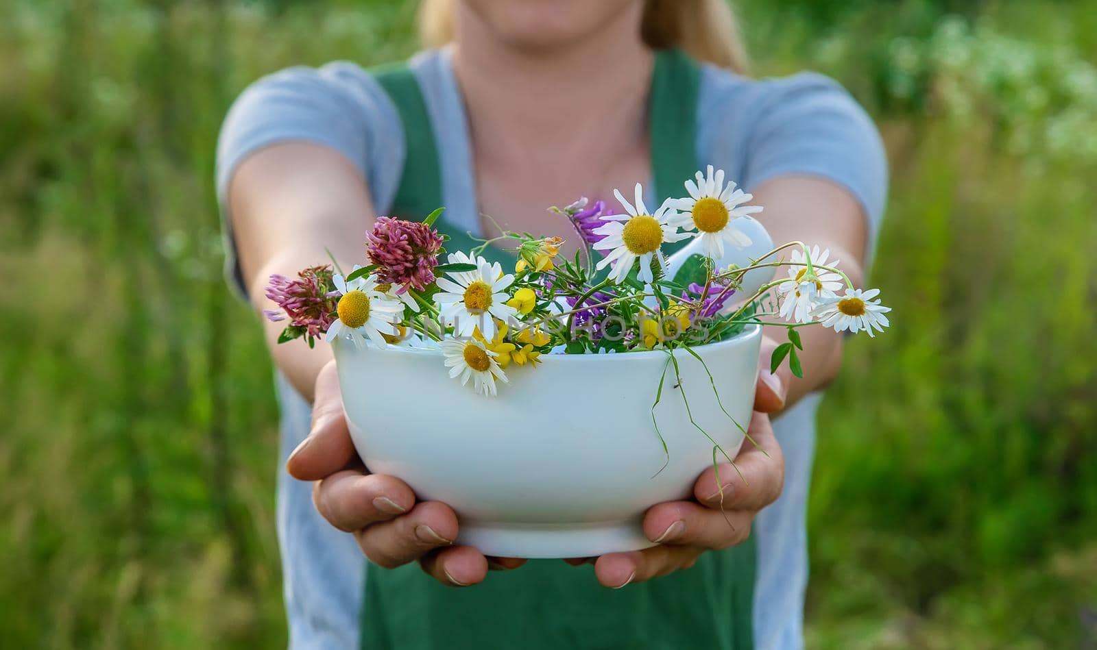 The woman collects medicinal herbs. Selective focus. Nature.