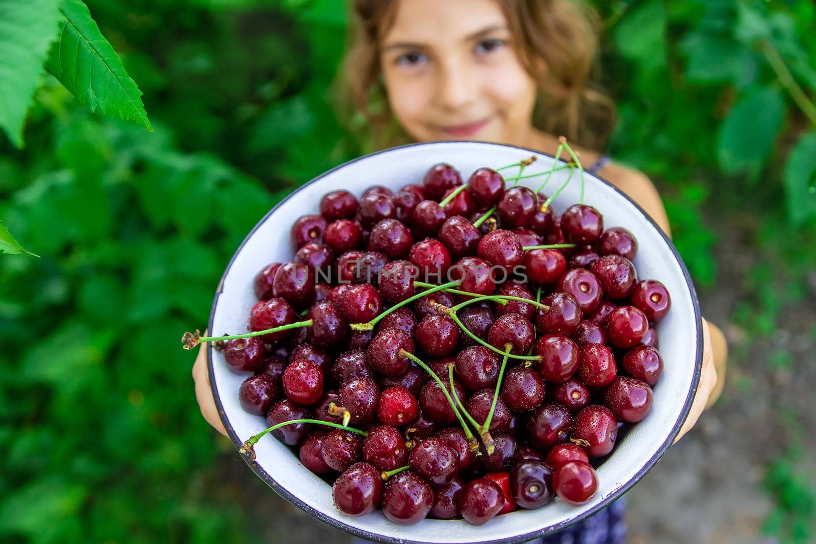 The child eats cherries in the garden. Selective focus. Food.
