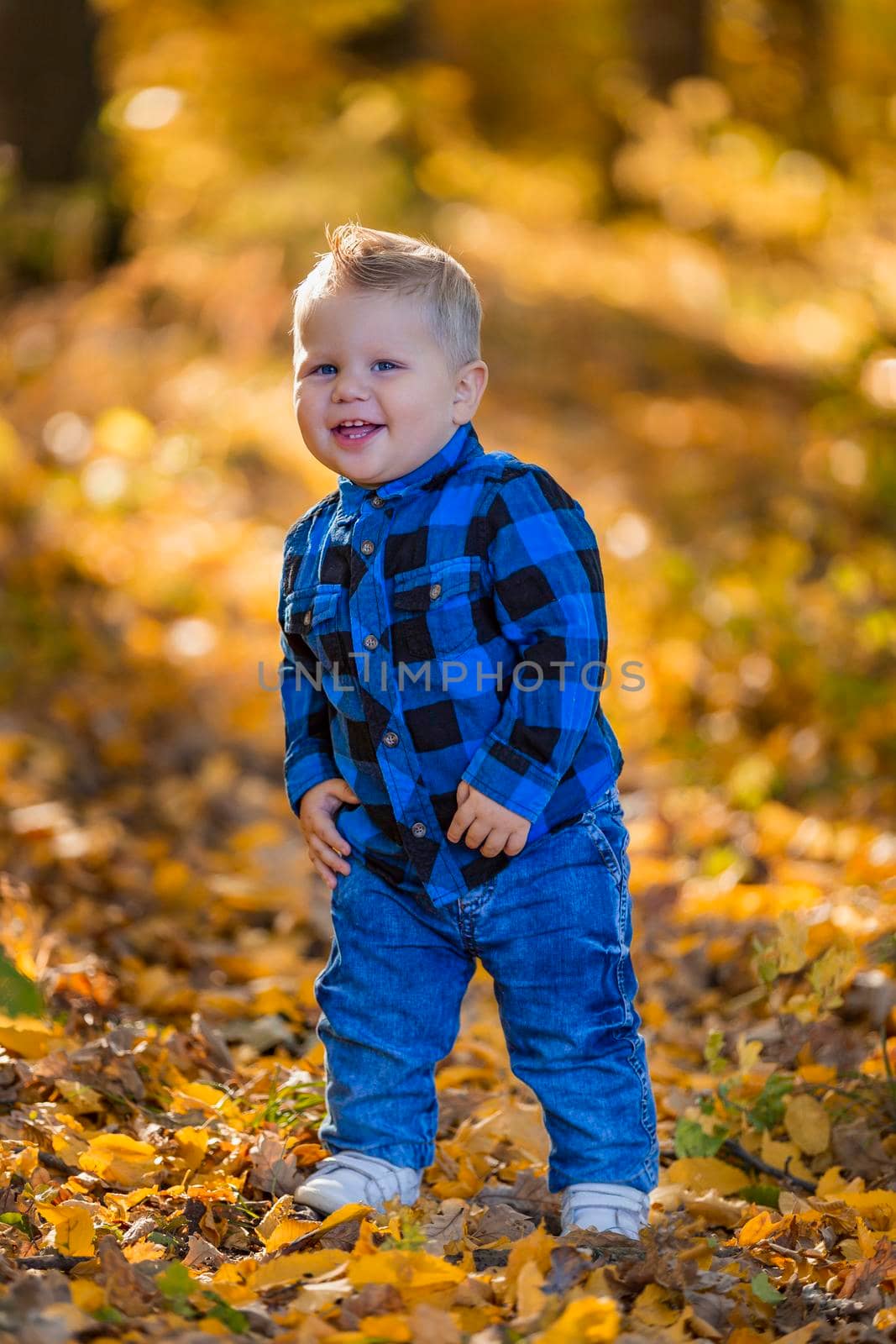 boy on the background of yellowed leaves in the forest