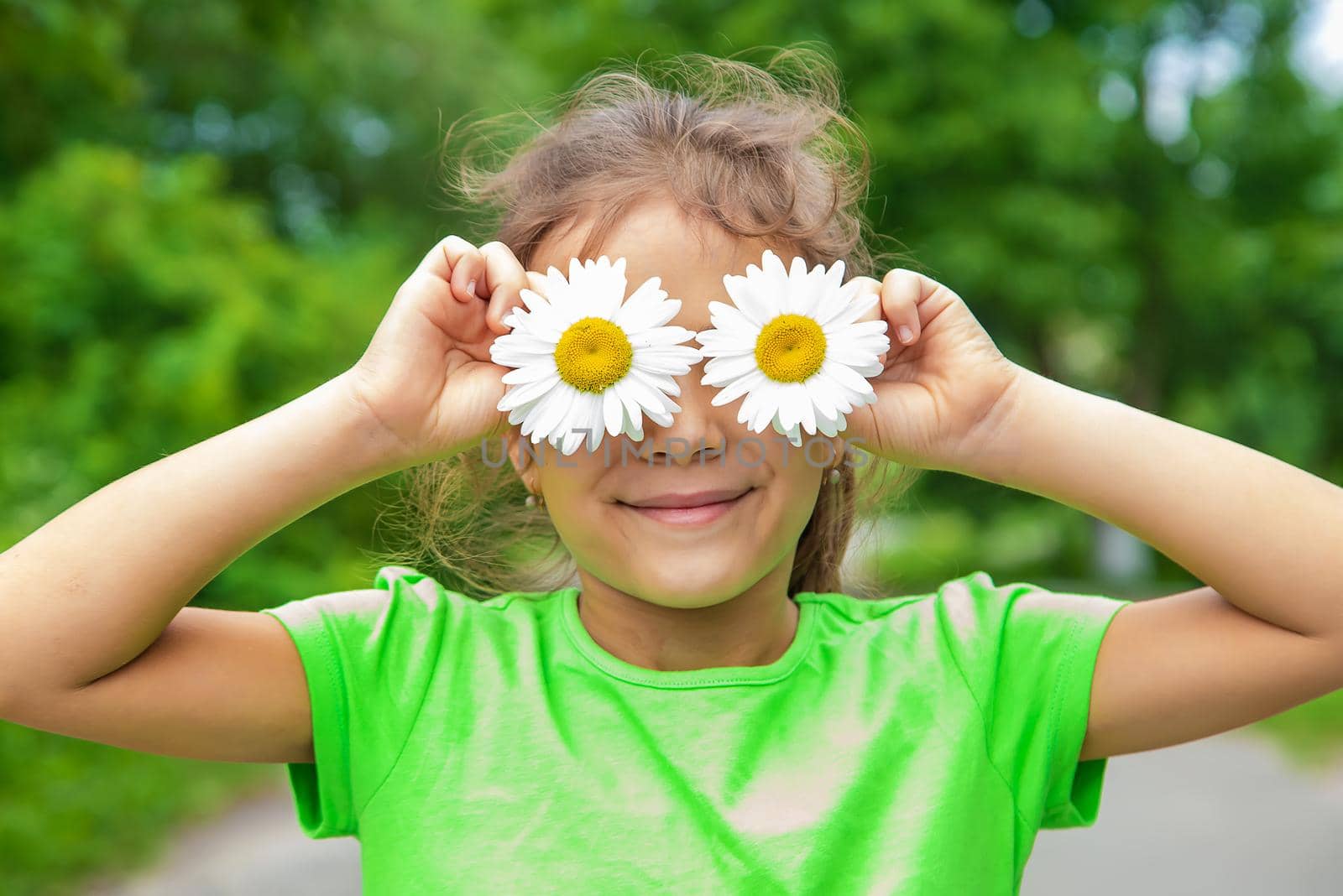 The child holds chamomile eyes on his face. Selective focus. Nature.