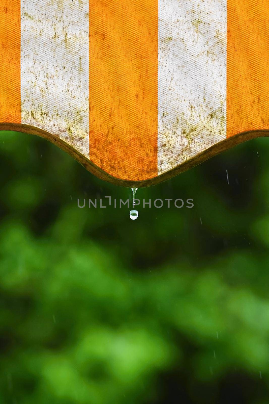 Rain. Awning on a balcony and drops of water on a natural colorful background during a spring day. by Montypeter