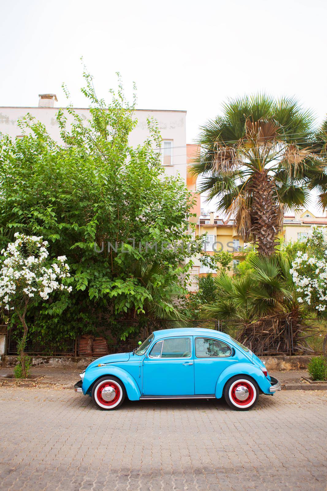 A blue Volkswagen Beetle is parked in a beautiful location. Road trip by car, sea, vacation, vacation