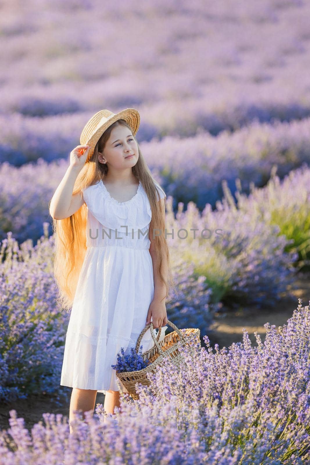 portrait of a girl on a lavender field by zokov