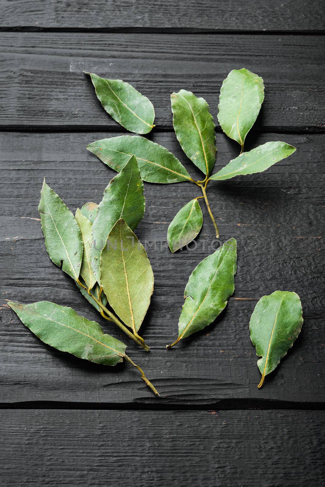 Green and fresh laurel bay leaf, on black wooden table background by Ilianesolenyi