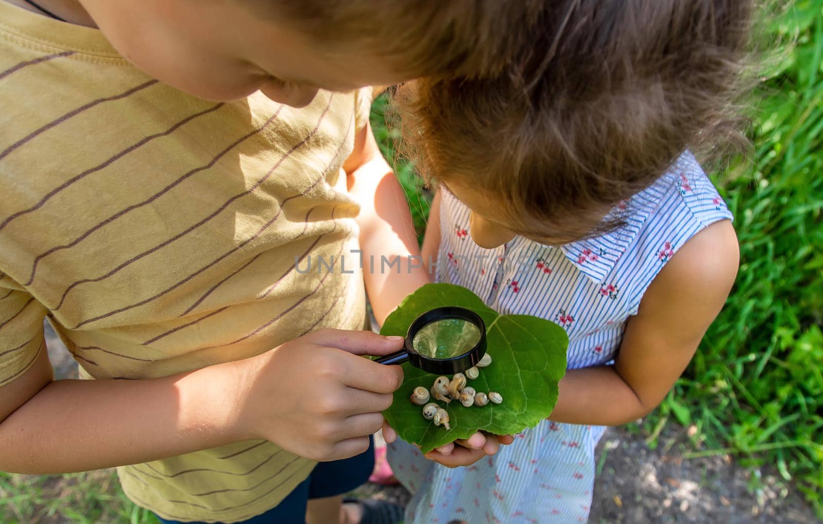 The child looks at the snail through a magnifying glass. Selective focus. by yanadjana