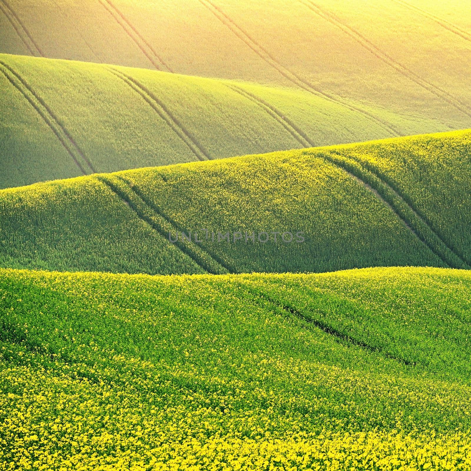 Spring sunset landscape photo of Moravian Tuscany in Czech Republic
