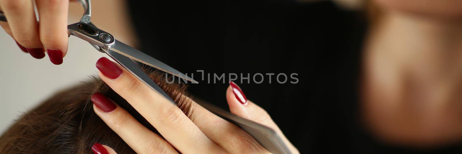 Close-up of female master put hair together and cut with scissors tool. Qualified hairdresser using professional equipment for work. Beauty salon concept