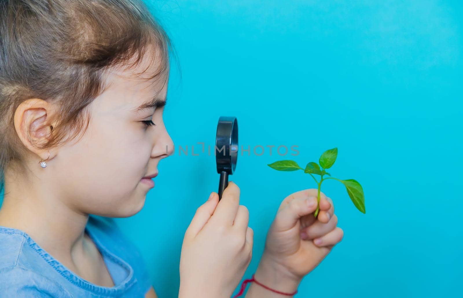 The child examines the plant with a magnifying glass. Selective focus. Kid.